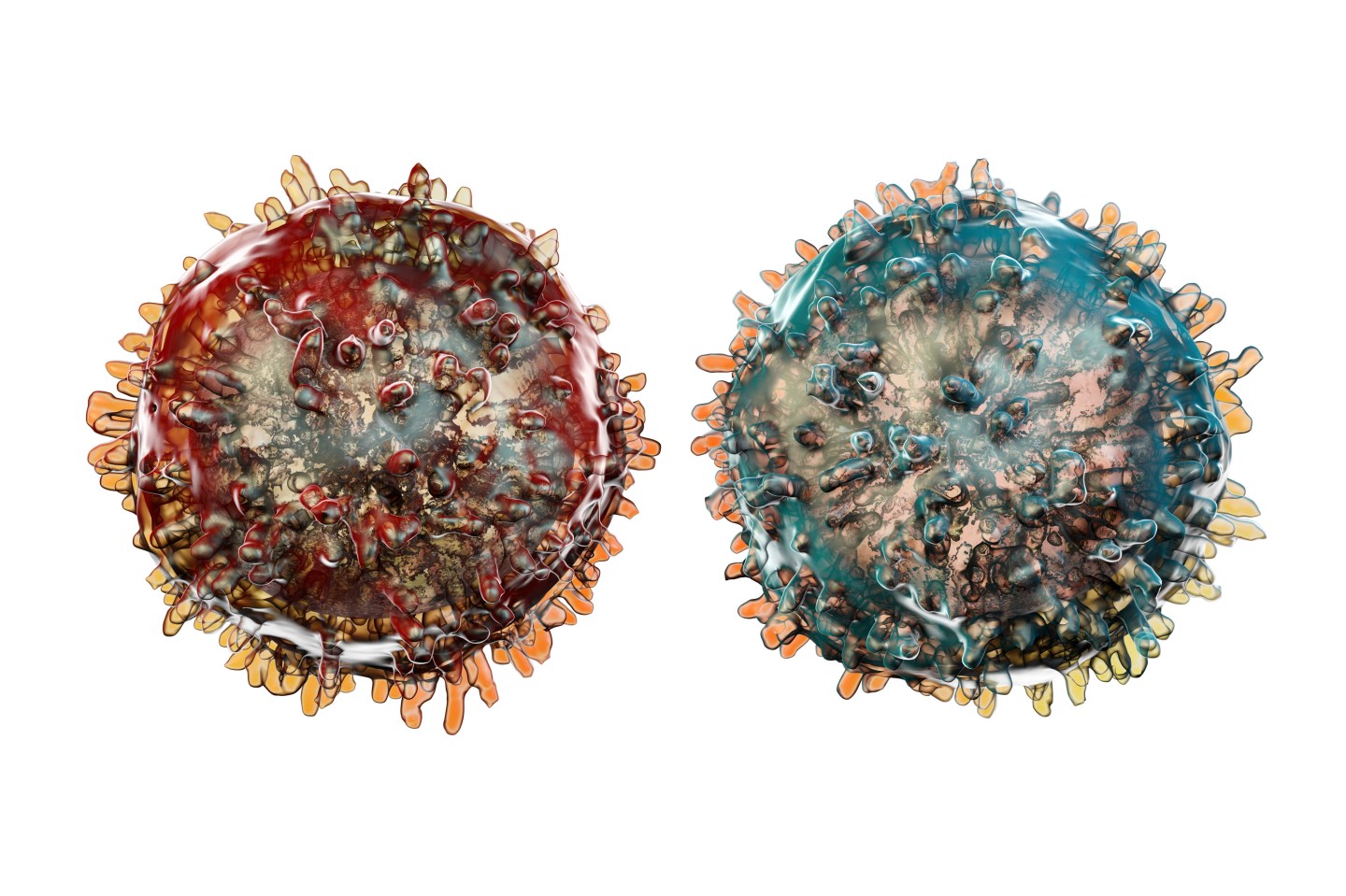 How long is your COVID vaccine good for? You can soon find out, thanks to a new test that informs patients of their immunity’s ‘magnitude and duration’