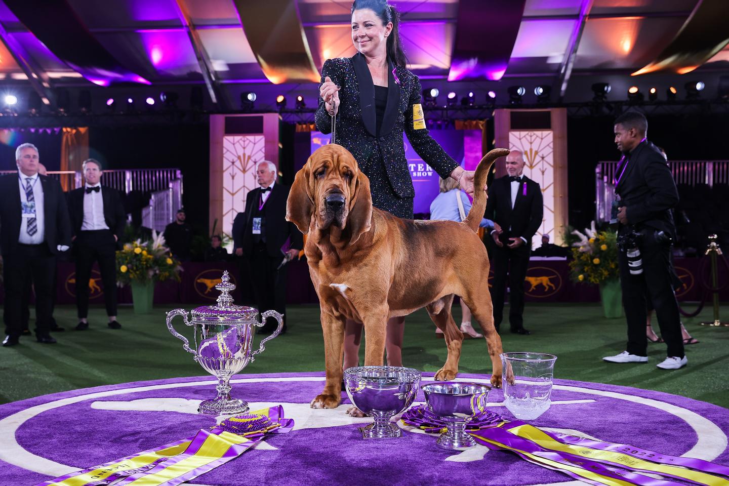 The economics of the Westminster Dog Show: Best in show gets no prize money, but about that breeding…