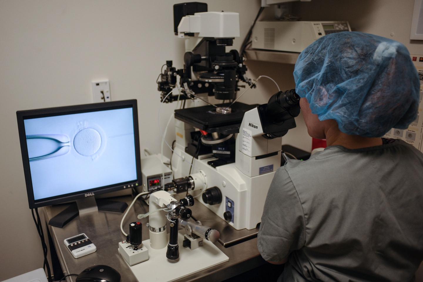 The uncertain future of fertility treatment is an ‘unintended consequence’ of the reversal of Roe