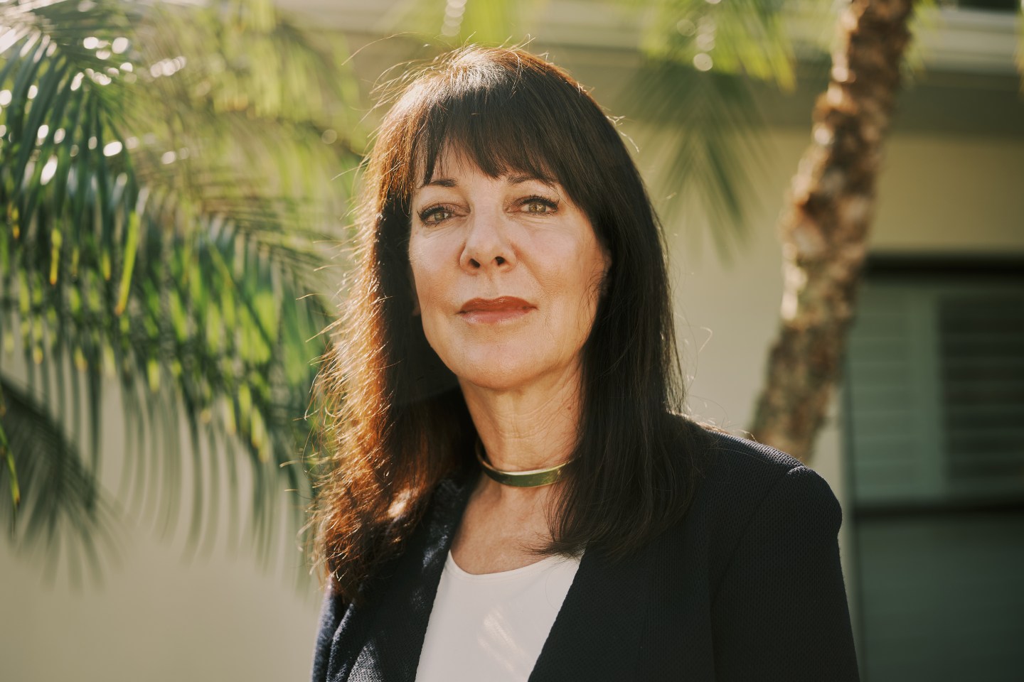 Rite Aid CEO Heyward Donigan has a plan to put the ailing pharmacy chain back on track.