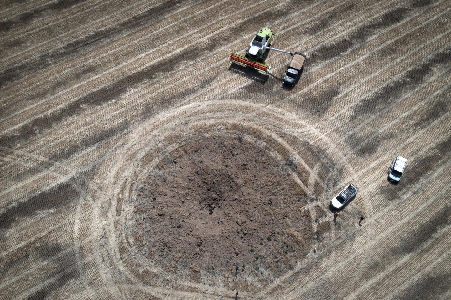 Harvest in Ukraine