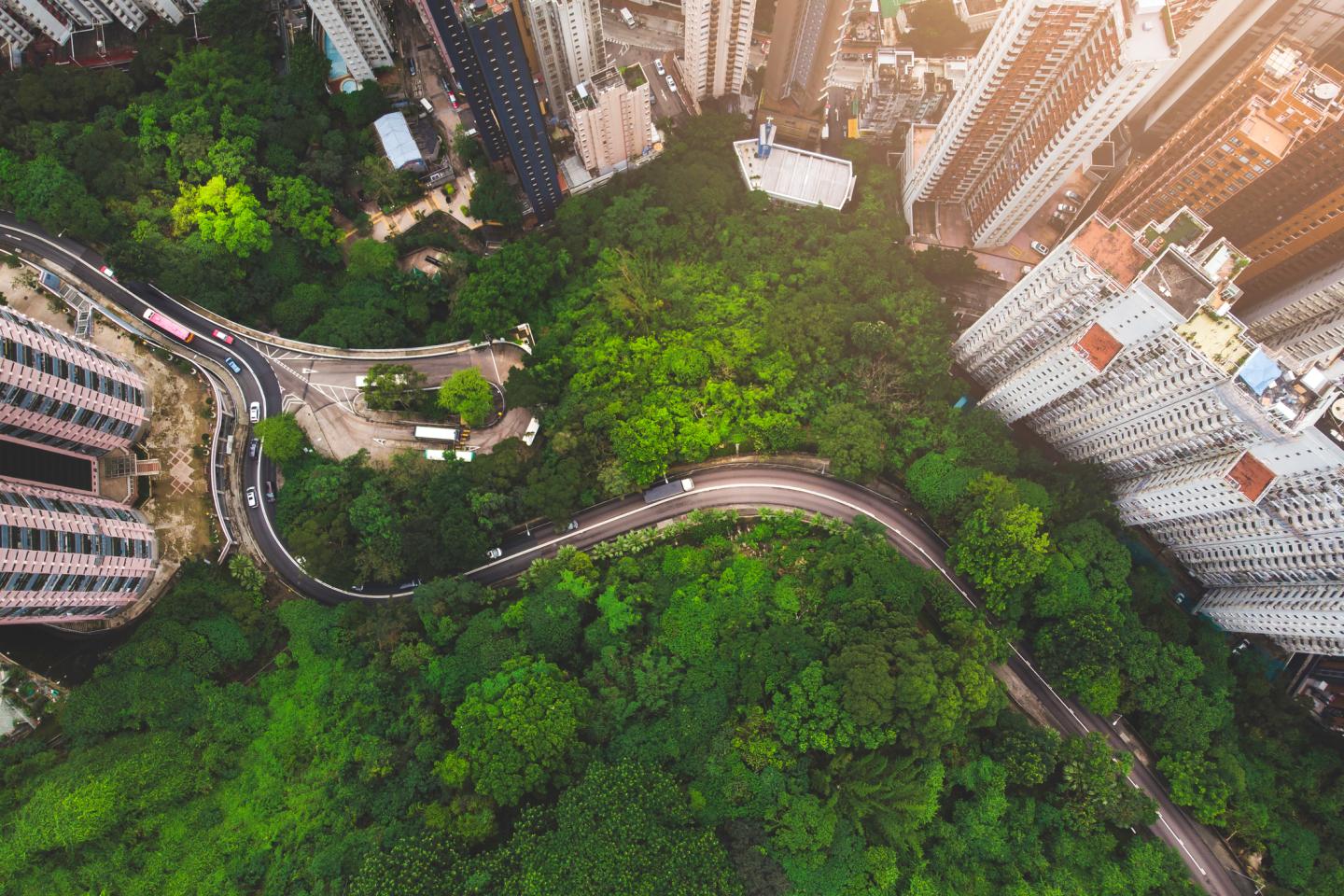 Why leaders see climate action as the future of competitive advantage