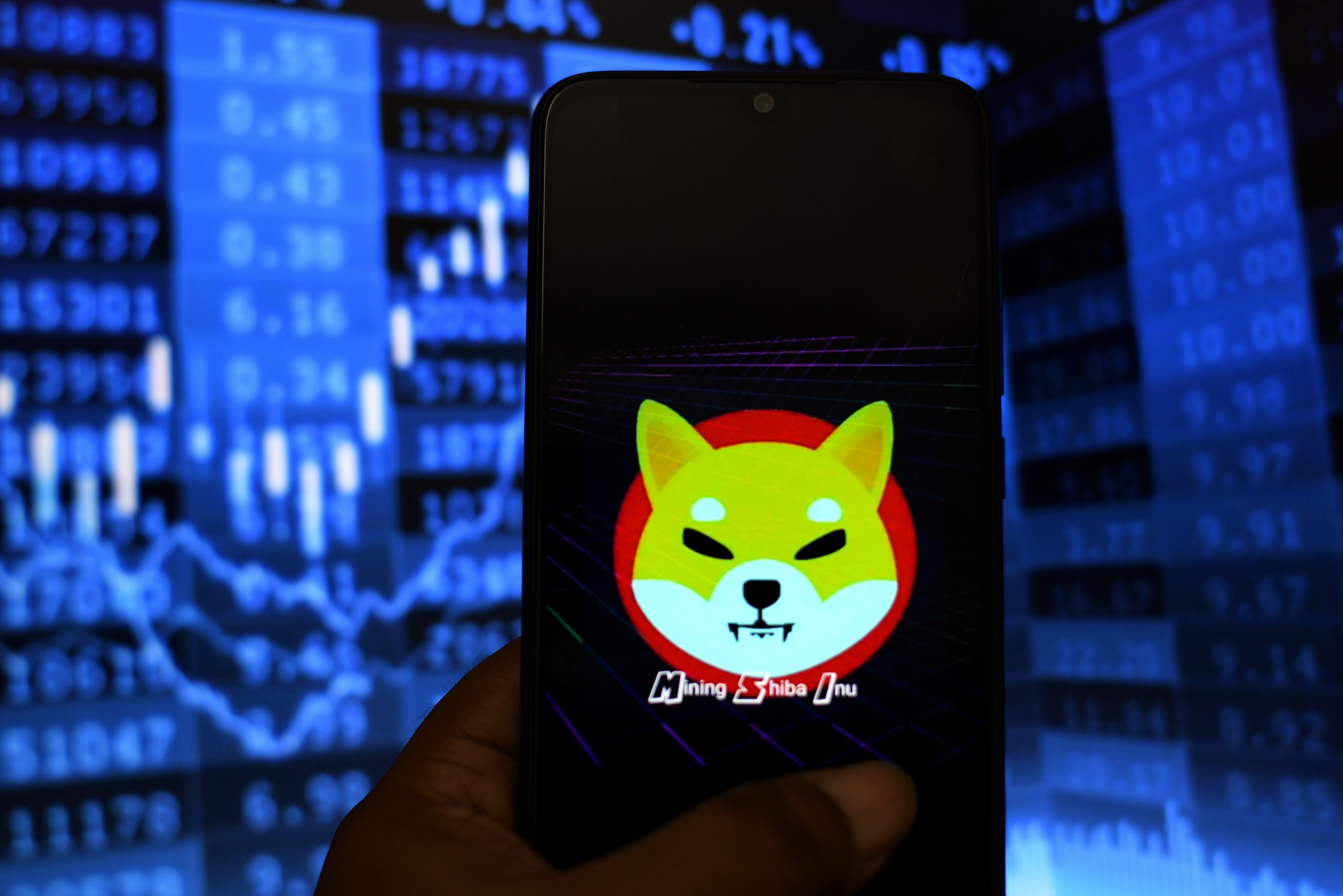 Shiba Inu now plans to launch a stablecoin and a collectible card game for  its metaverse | Fortune