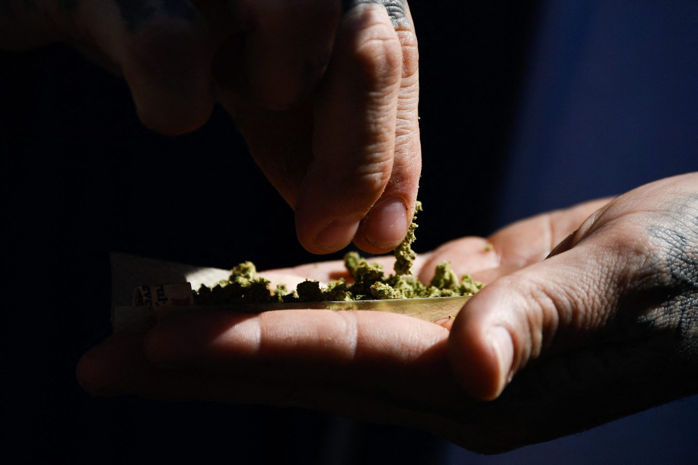 A person rolls a join during the Mile High 420 Festival in Denver, Colorado, on April 20, 2022, known by some as &#8216;Weed Day&#8217;. &#8211; Tens of thousands of cannabis enthusiasts gathered in Denver on April 20 to celebrate the ever-widening US legalization of recreational weed with plumes of pungent smoke, music&#8230; and a few grumblings about commercialization. April 20 has become the national holiday for the herb in the United States, as the date corresponds with the &#8220;420&#8221; slang name for marijuana. (Photo by Patrick T. FALLON / AFP) (Photo by PATRICK T. FALLON/AFP via Getty Images)