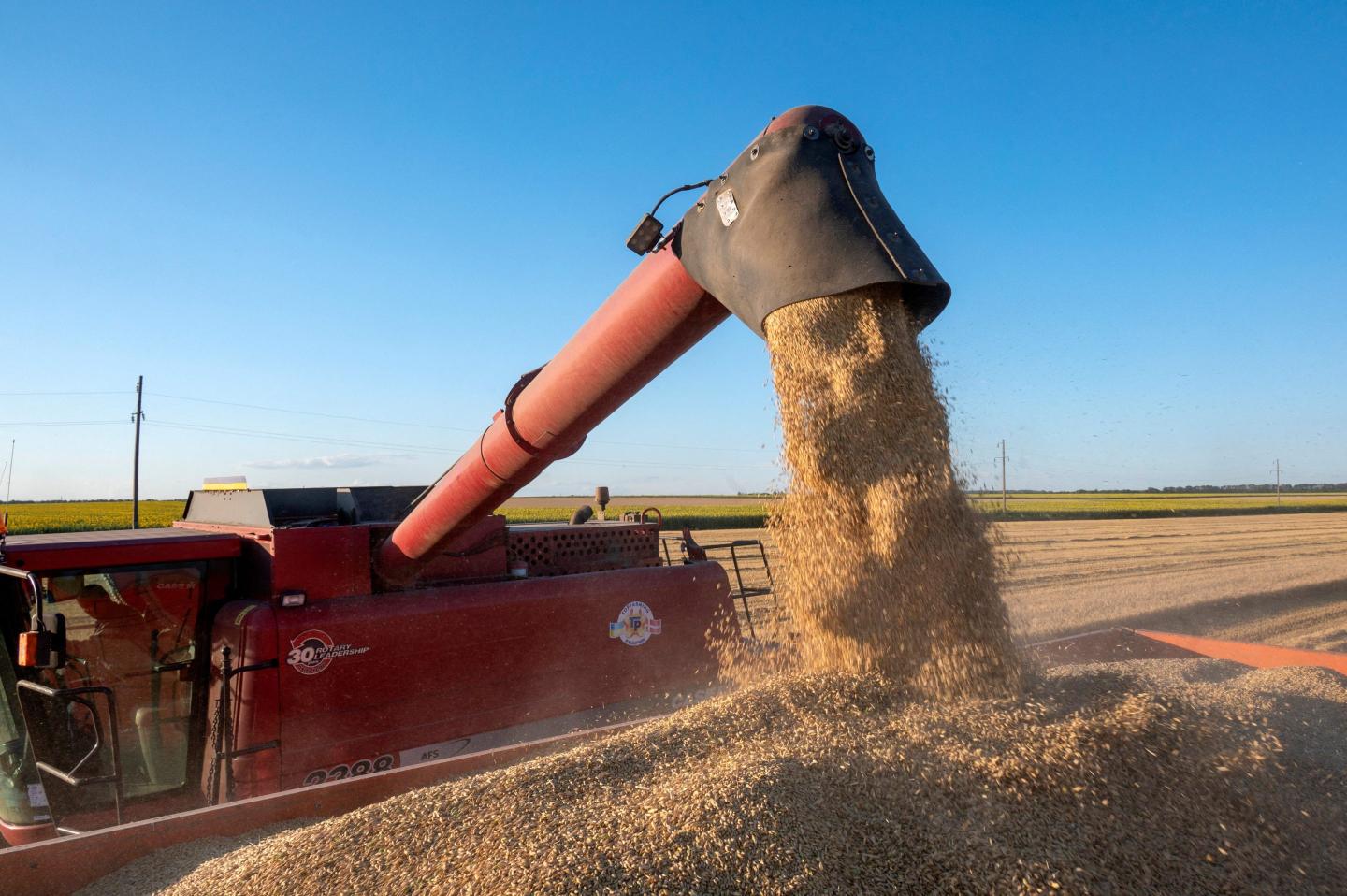 Grain exports