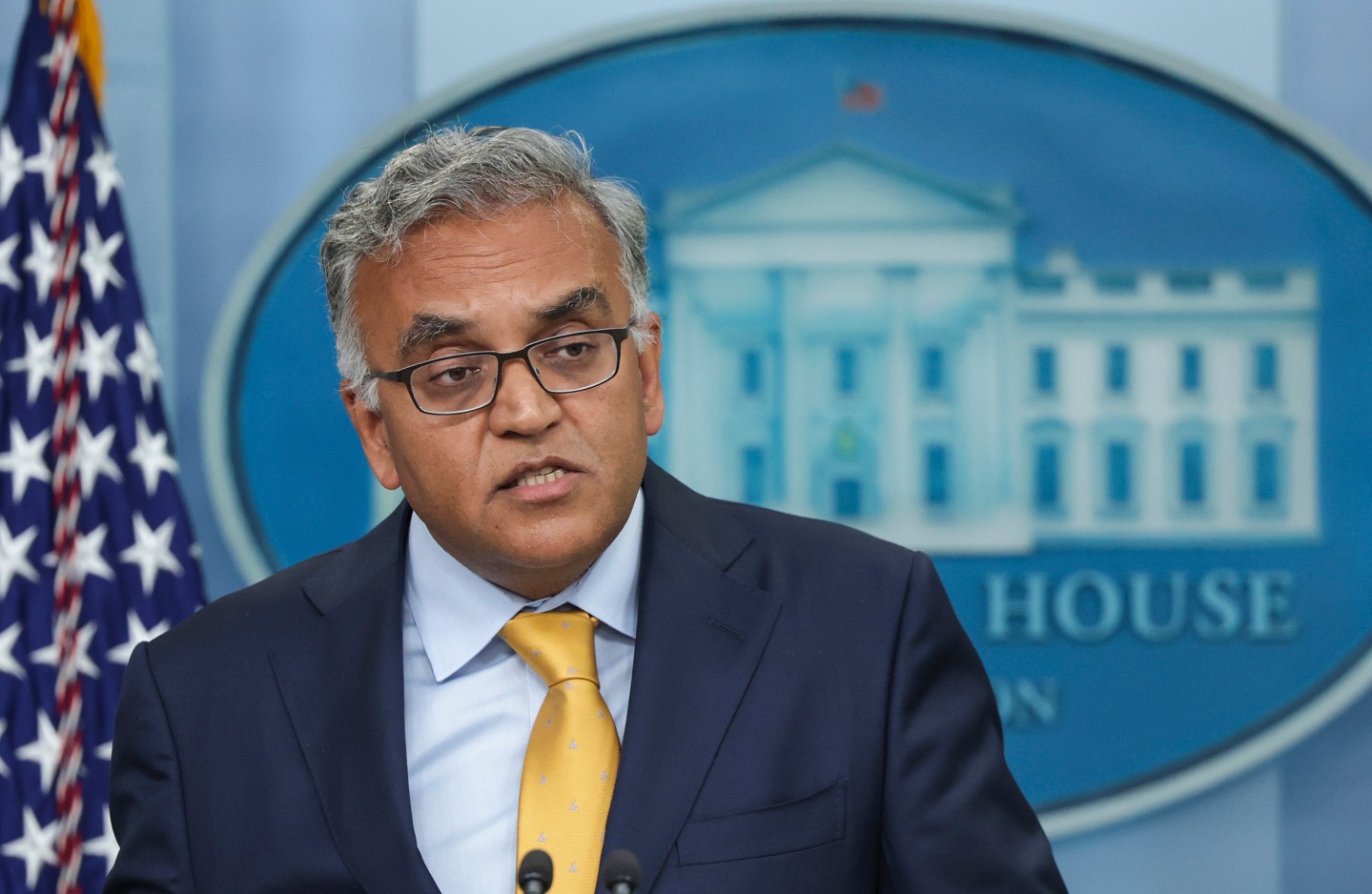 White House COVID-19 Response Coordinator Dr. Ashish Jha speaks at the daily press briefing at the White House on June 2 in Washington, D.C.
