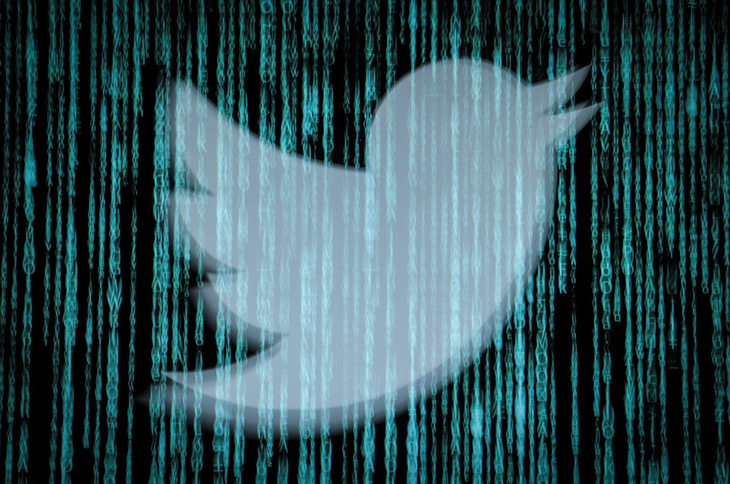 A Twitter logo is seen on a computer screen