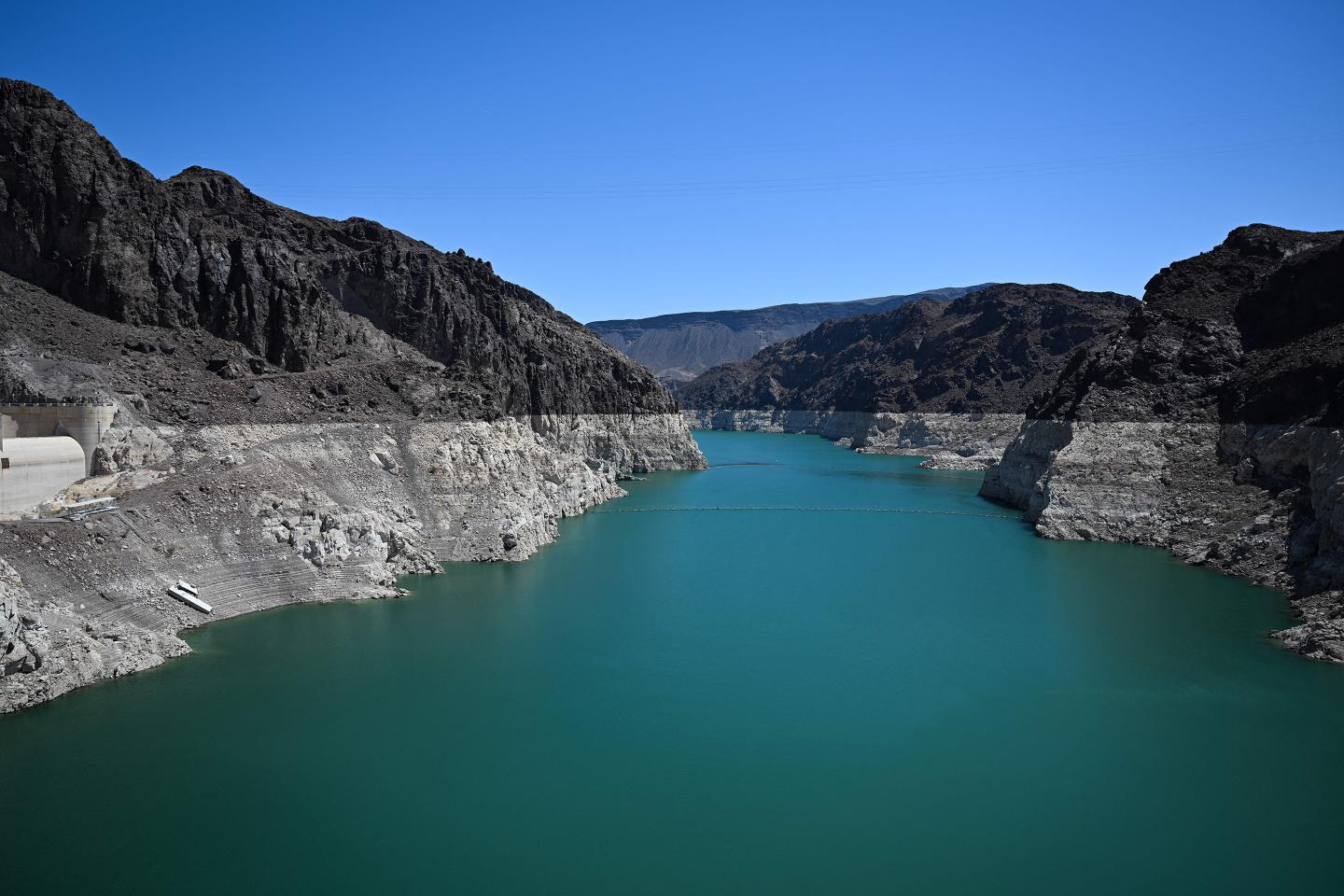 To solve the water crisis, companies are increasingly turning to AI 