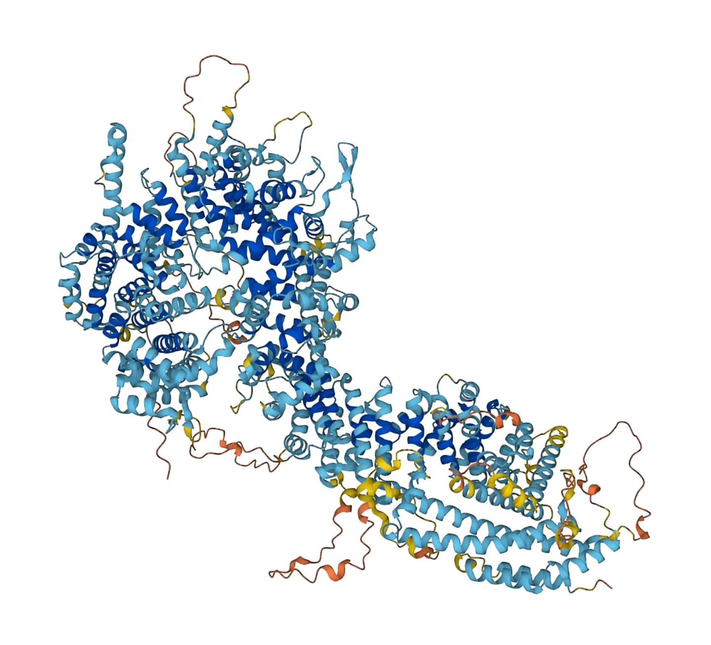 Structural model of the proteins in the nuclear pore complex.