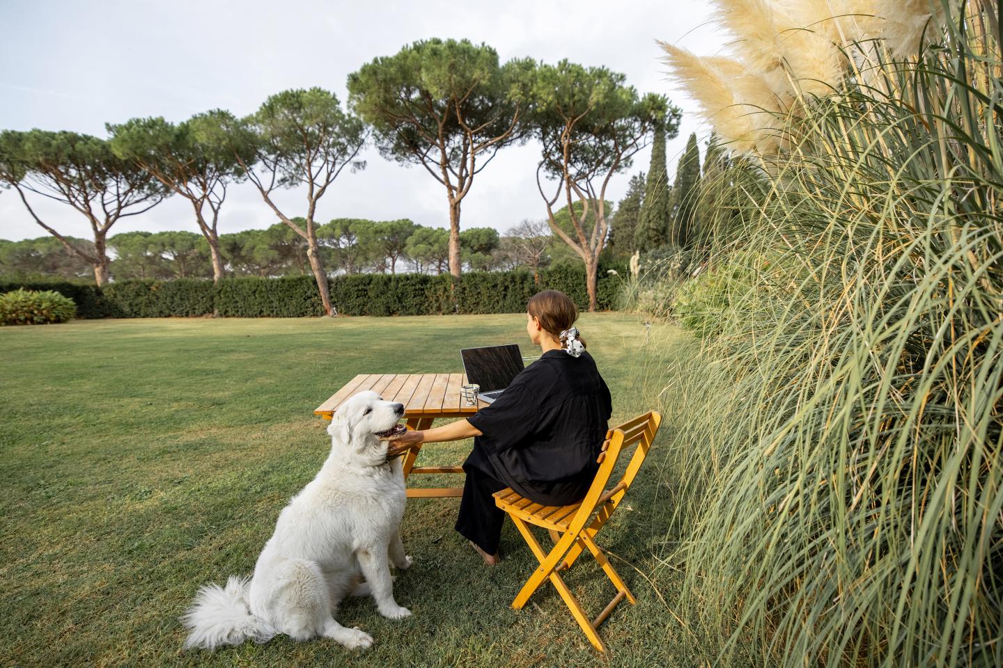 Girl working on laptop on mediterranean lawn with dog.