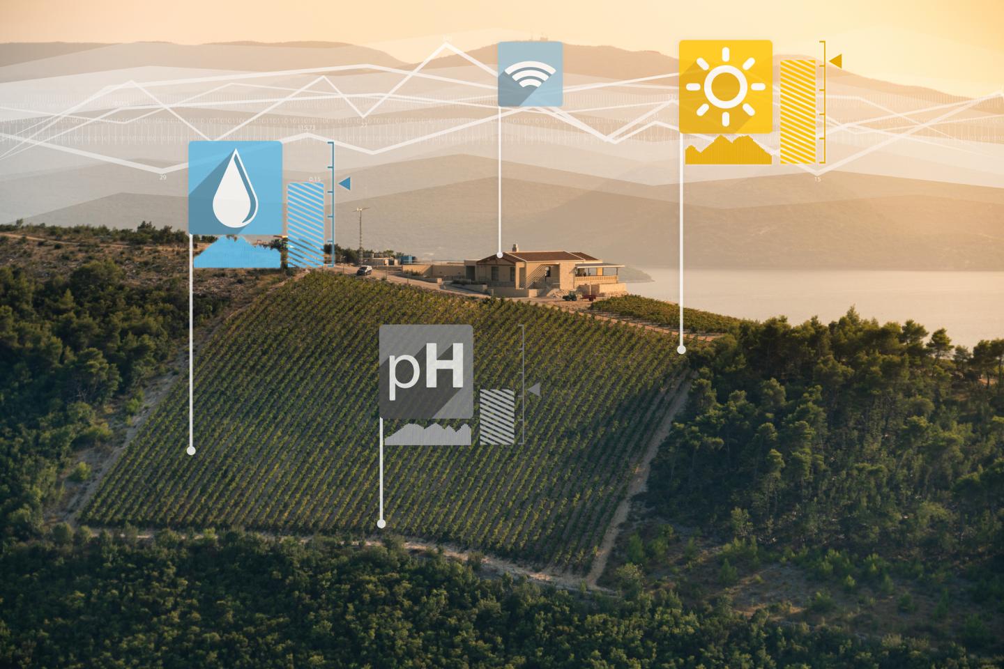 California winemakers are using A.I. to combat climate change challenges