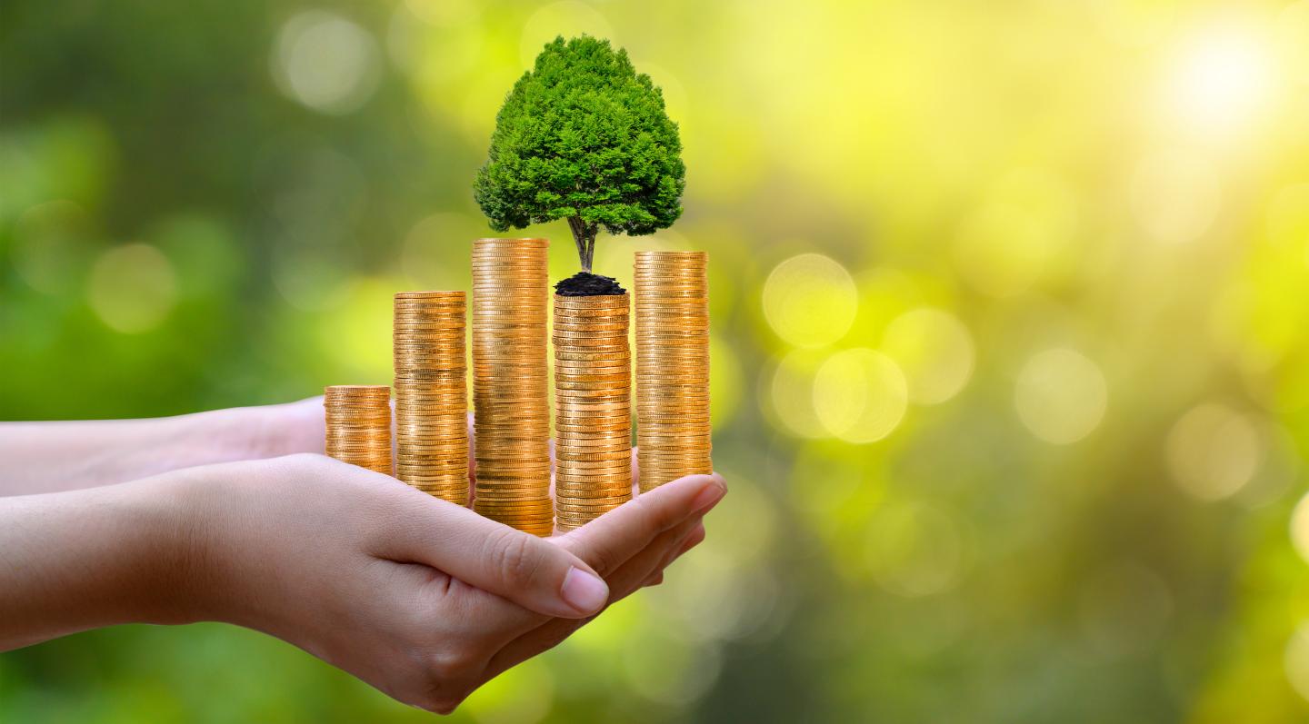 Hands holding pile of coins, from which a tree is growing