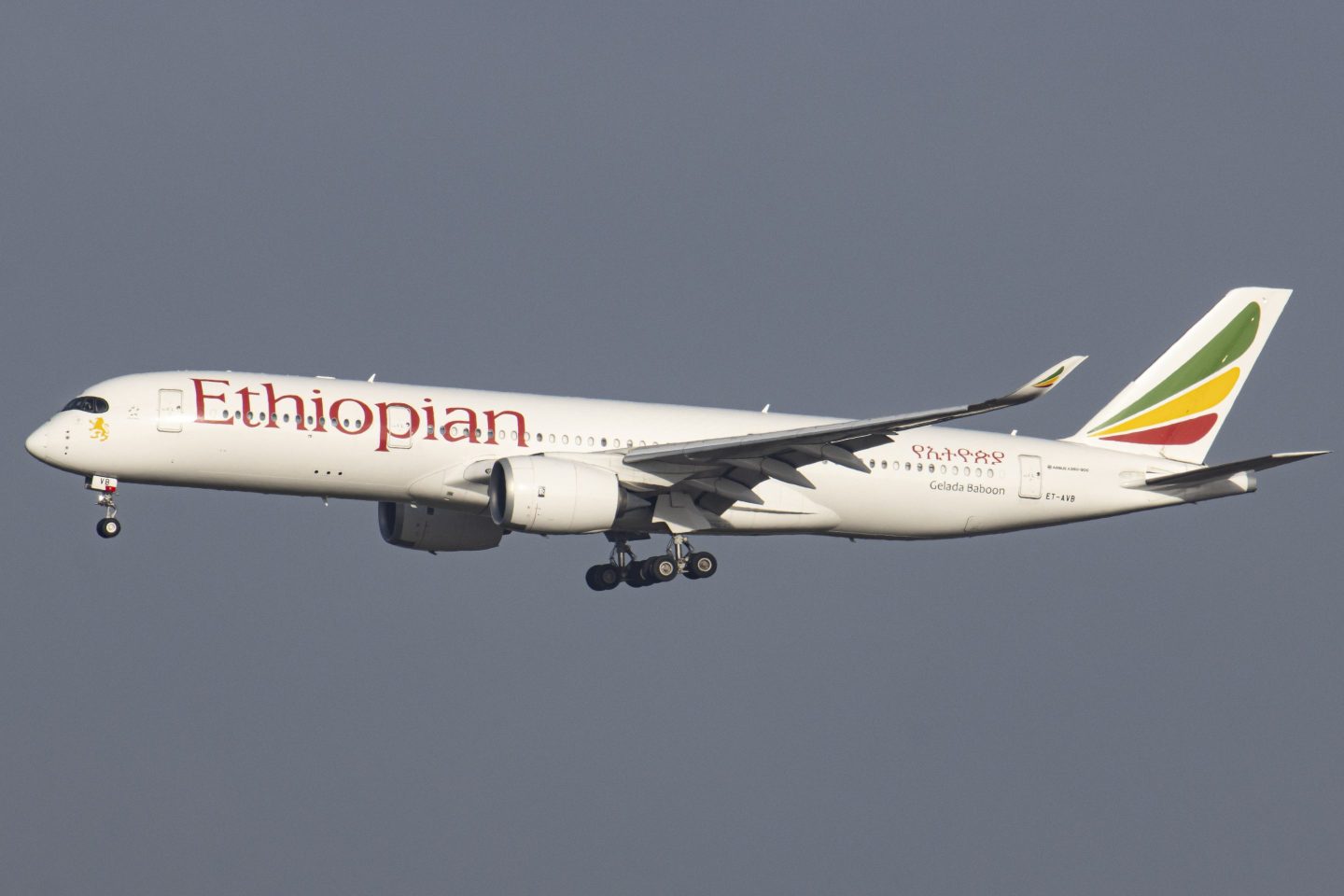 Ethiopian Airlines Airbus A350 Landing In Brussels