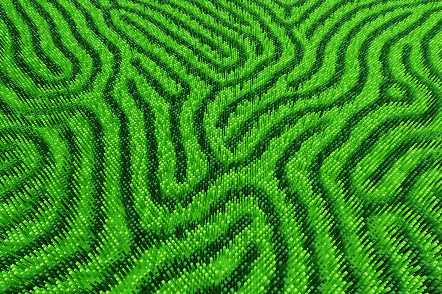 Green maze