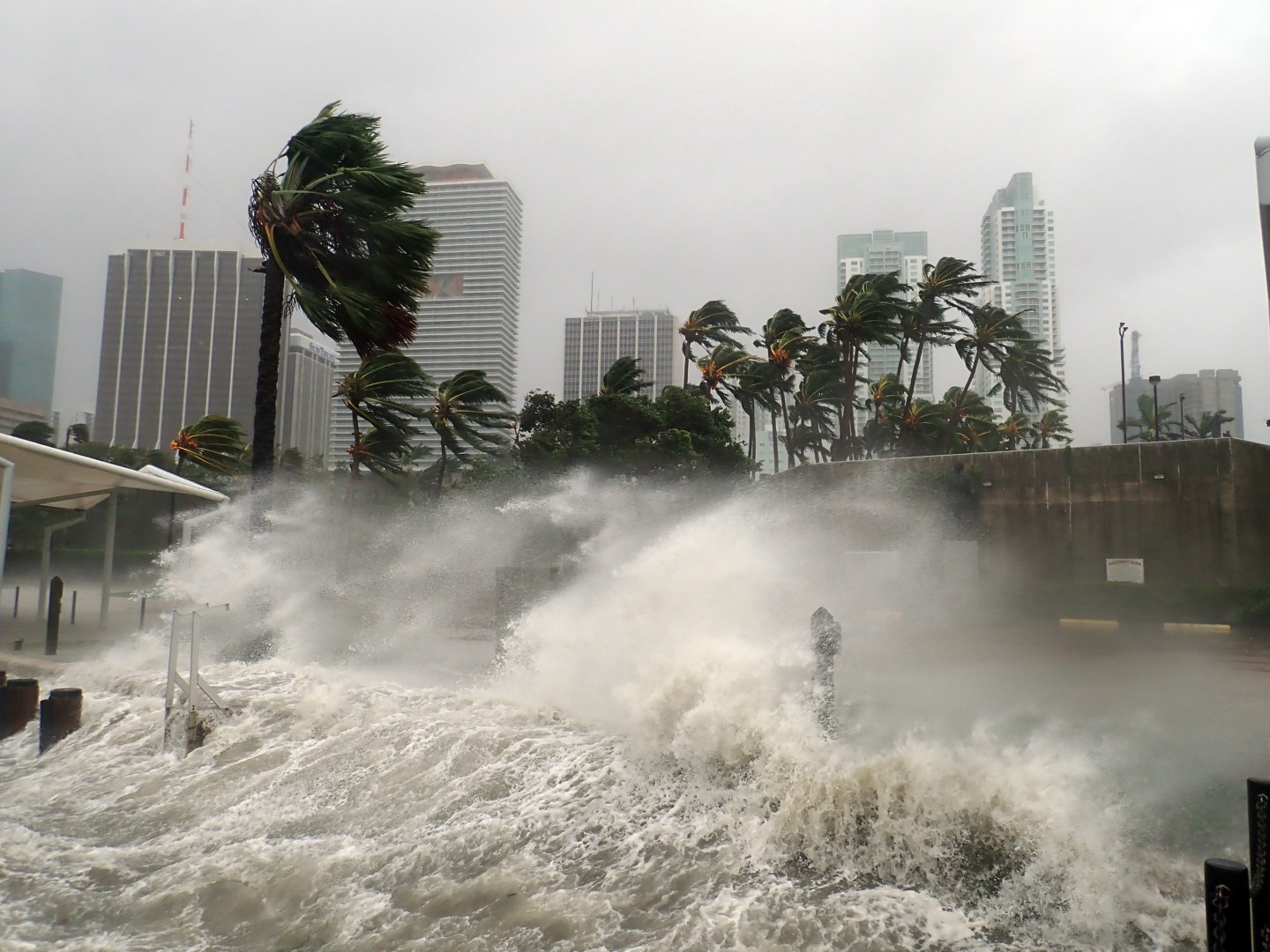 A huge wave breaking against shore during a hurricane.