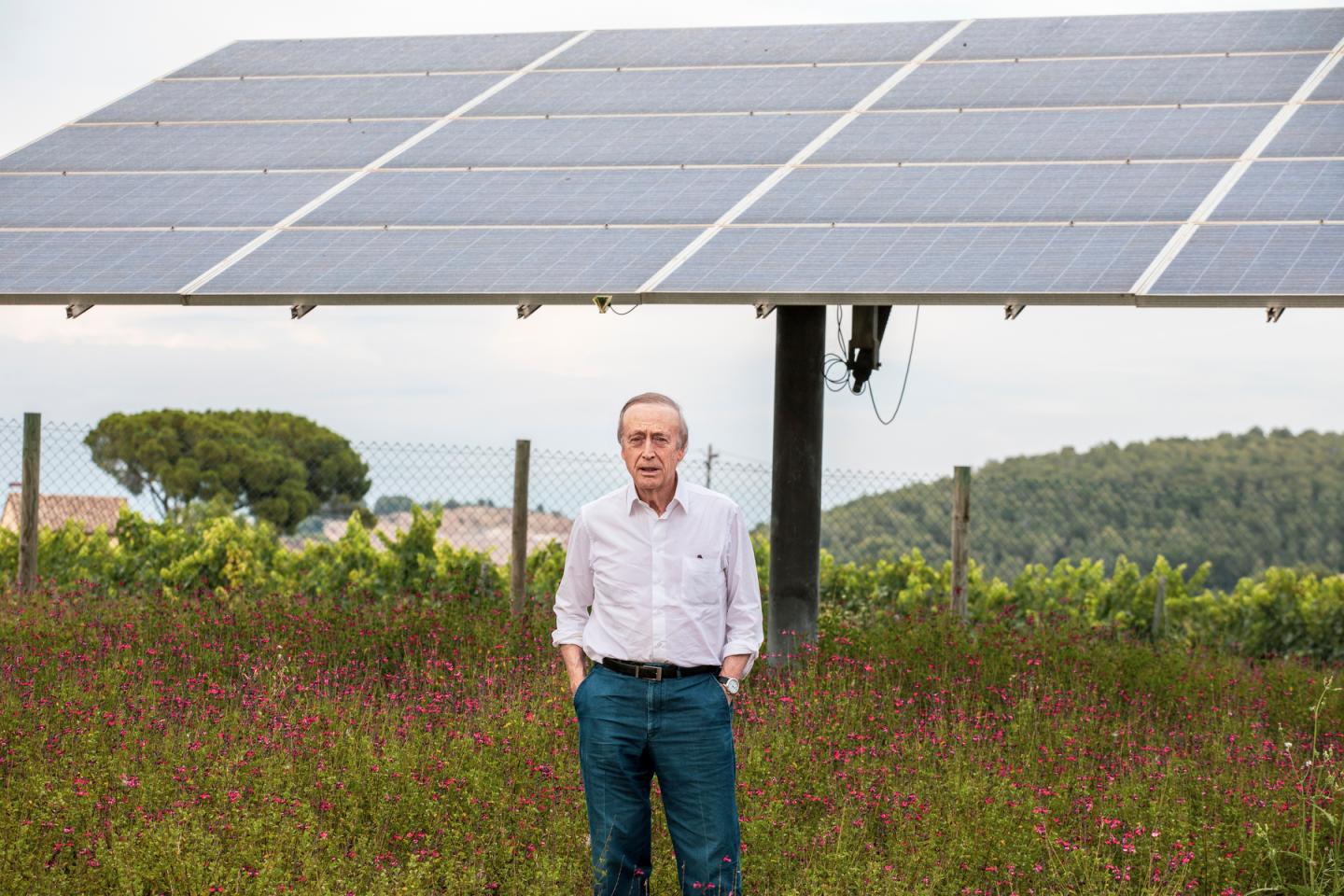 A winemaker set out to revive forgotten grapes. What he discovered could help save vineyards from climate change