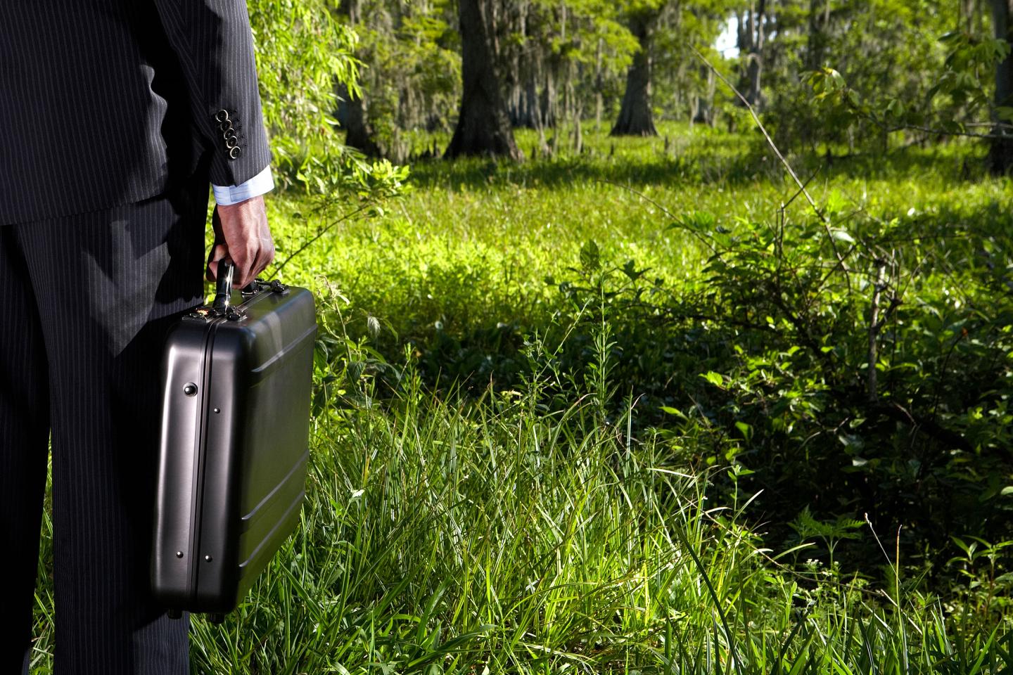 Businessman holding briefcase standing in long grass, rear view