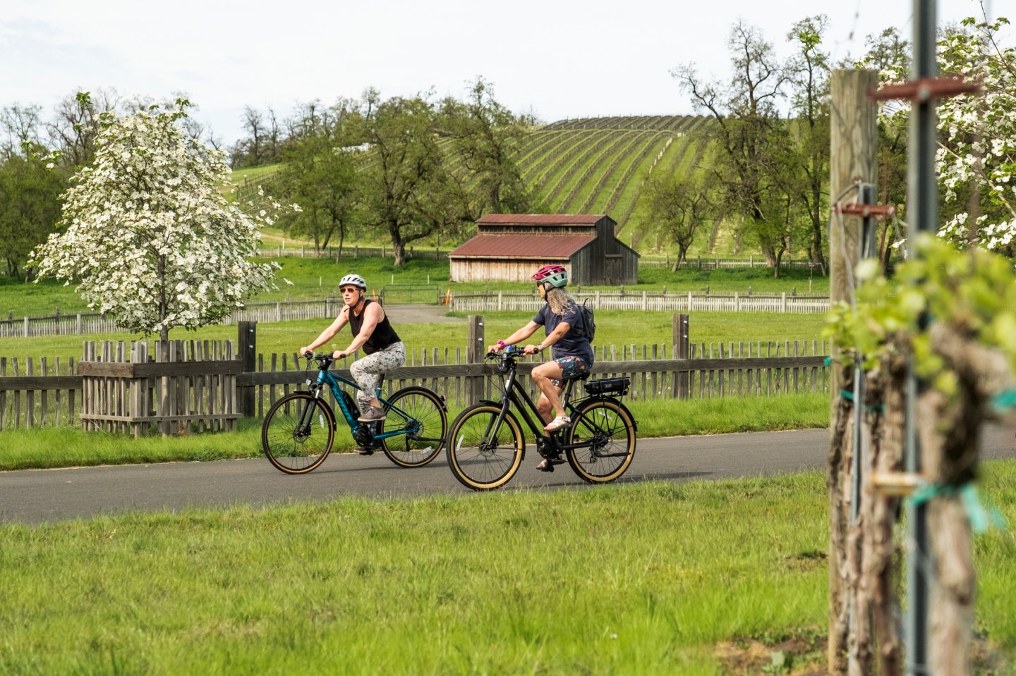 Bikers travel on a rural road through the 2,900 acres of vineyards surrounding Walla Walla.