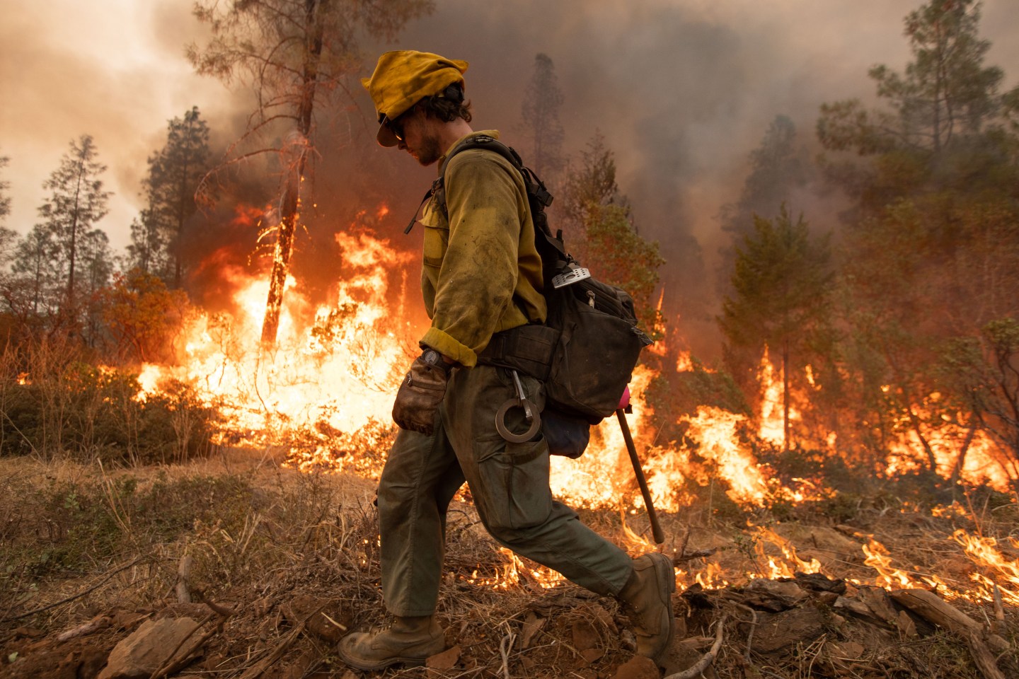 A firefighter uses a drip torch during the Mosquito fire near Volcanoville, California in September 2022