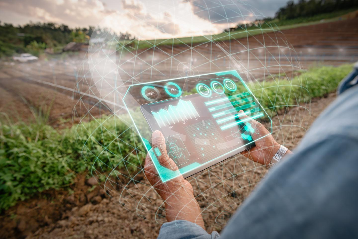 How A.I. technologies could help resolve food insecurity