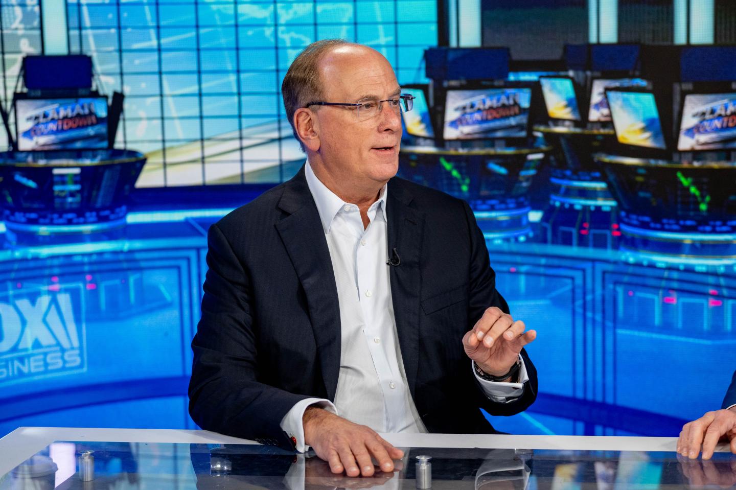 Blackrock Chairman and CEO Larry Fink