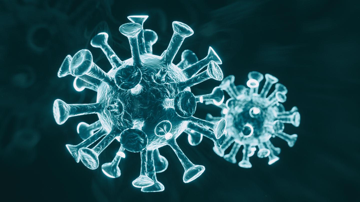 monkeypox virus