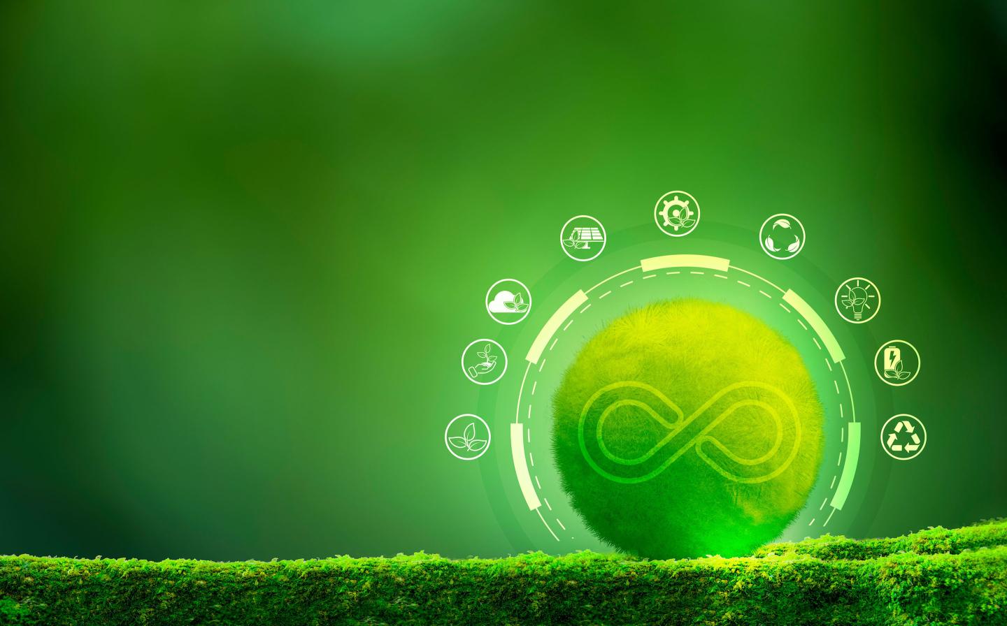 What a circular economy means for sustainable retail
