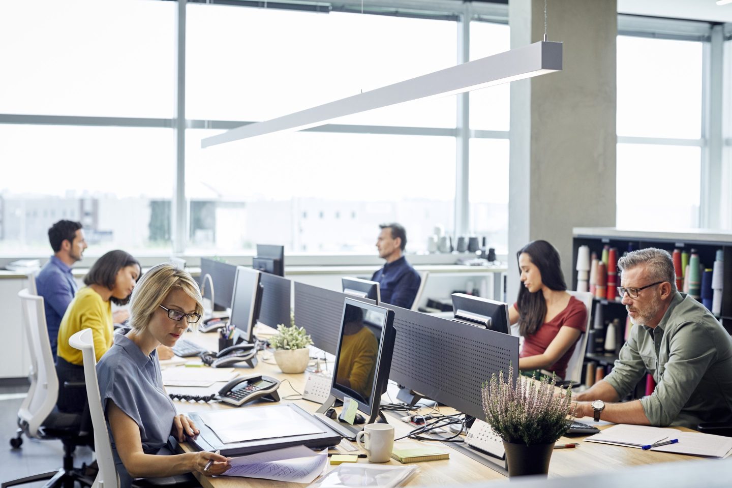 A group of office-workers sit at their desks