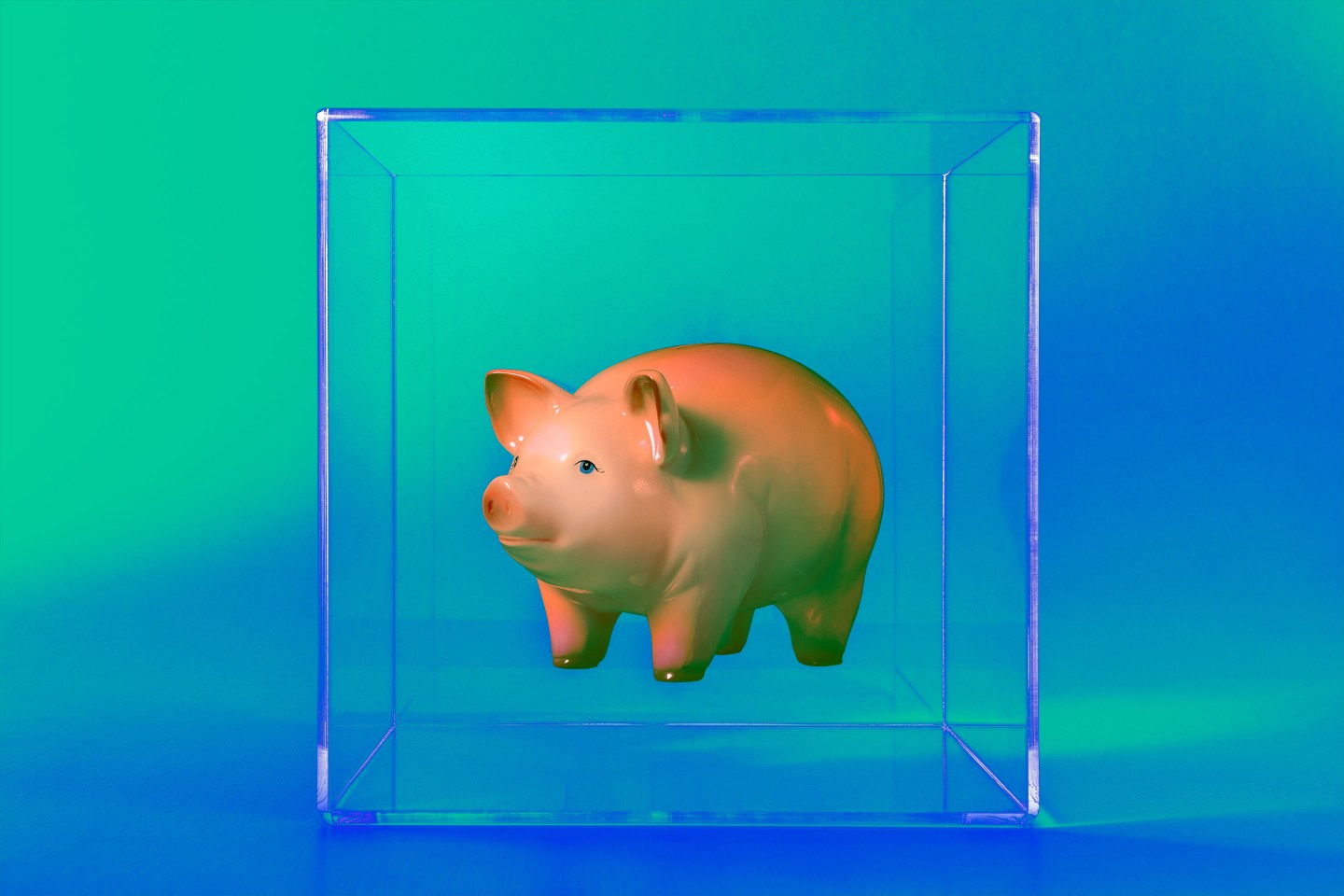 An illustration showing a piggy bank encased in a clear box with a green and blue background.
