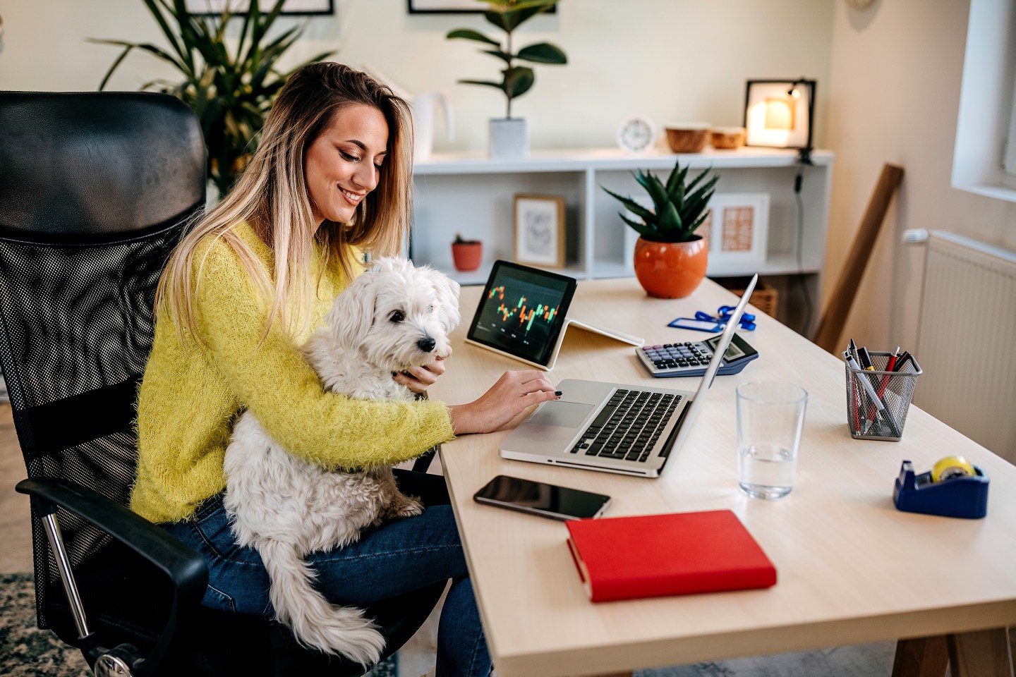 Woman tracking and trading stocks with dog on lap.