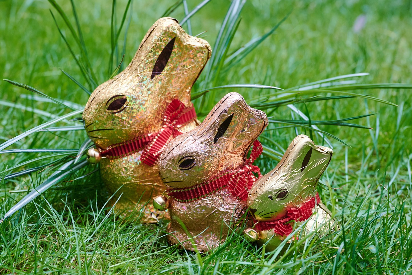 Lindt chocolate bunnies.