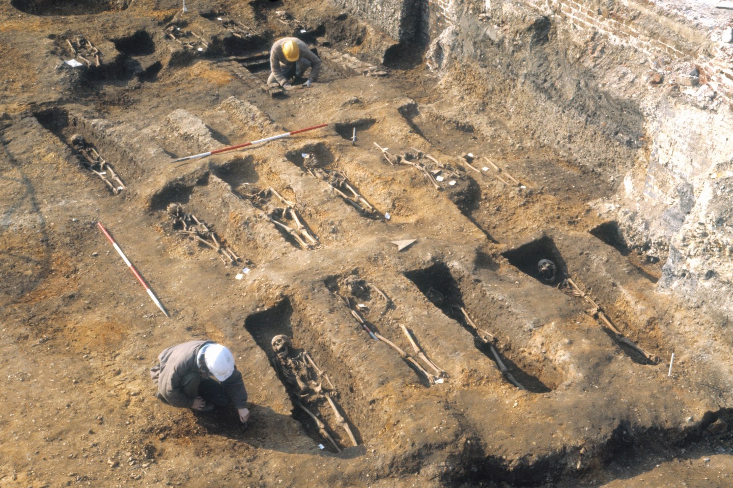 mass grave from black death