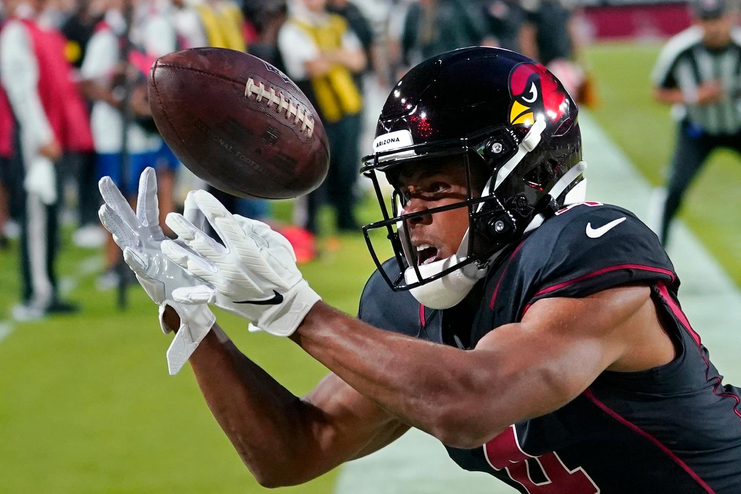 Arizona Cardinals