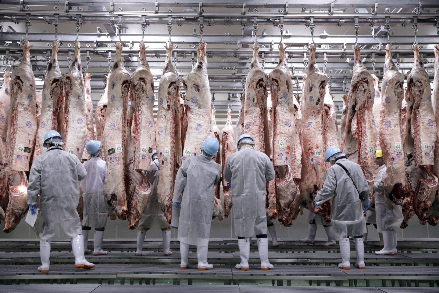 Trailers of meat products were stolen by the gang