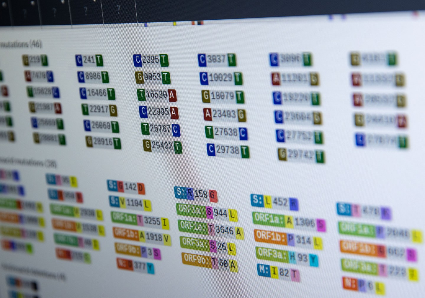 Different variants and mutations of the coronavirus are graphically displayed on a computer monitor in the sequencing laboratory for corona variants (CoMV gene) at Greifswald University Medical Center in Germany.