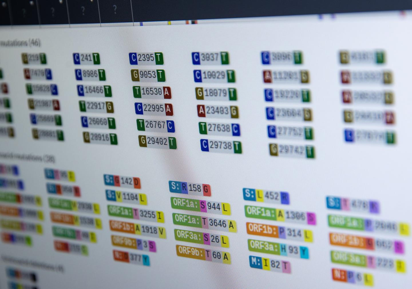 Forget about a single strain: The new COVID calculus is all about viral families