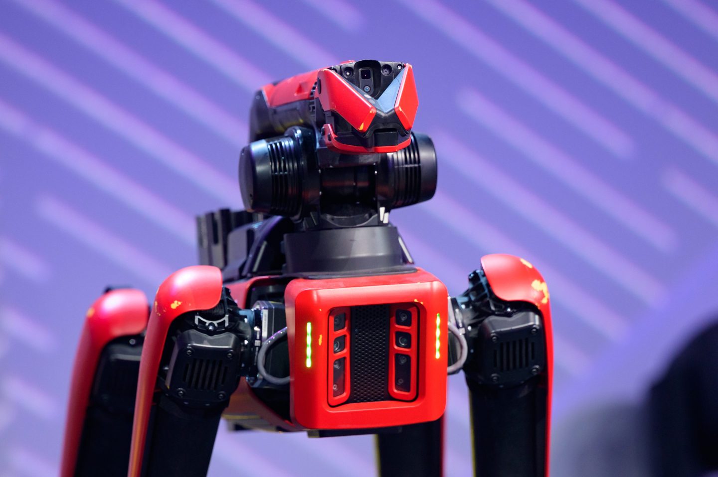 A robot dog from Boston Dynamics.