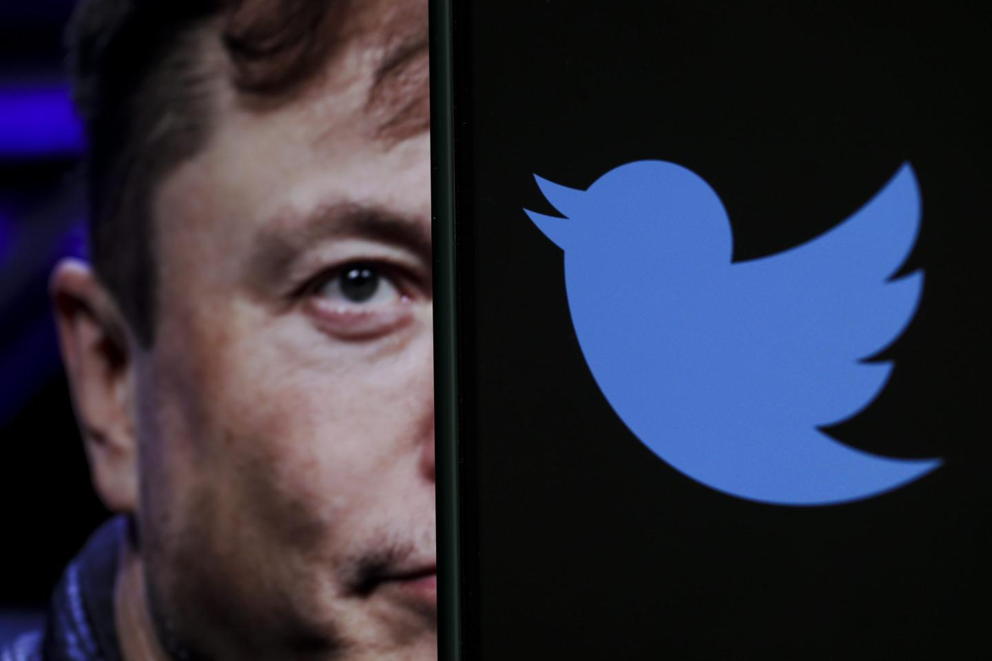 Elon Musk is displayed on a computer screen and the logo of twitter on a mobile phone