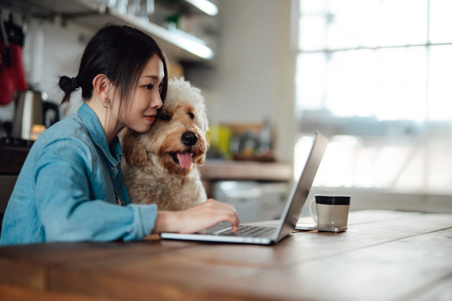 woman looks at laptop computer with her dog