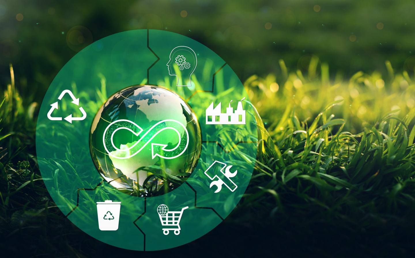 How companies can significantly extend the reach of sustainability