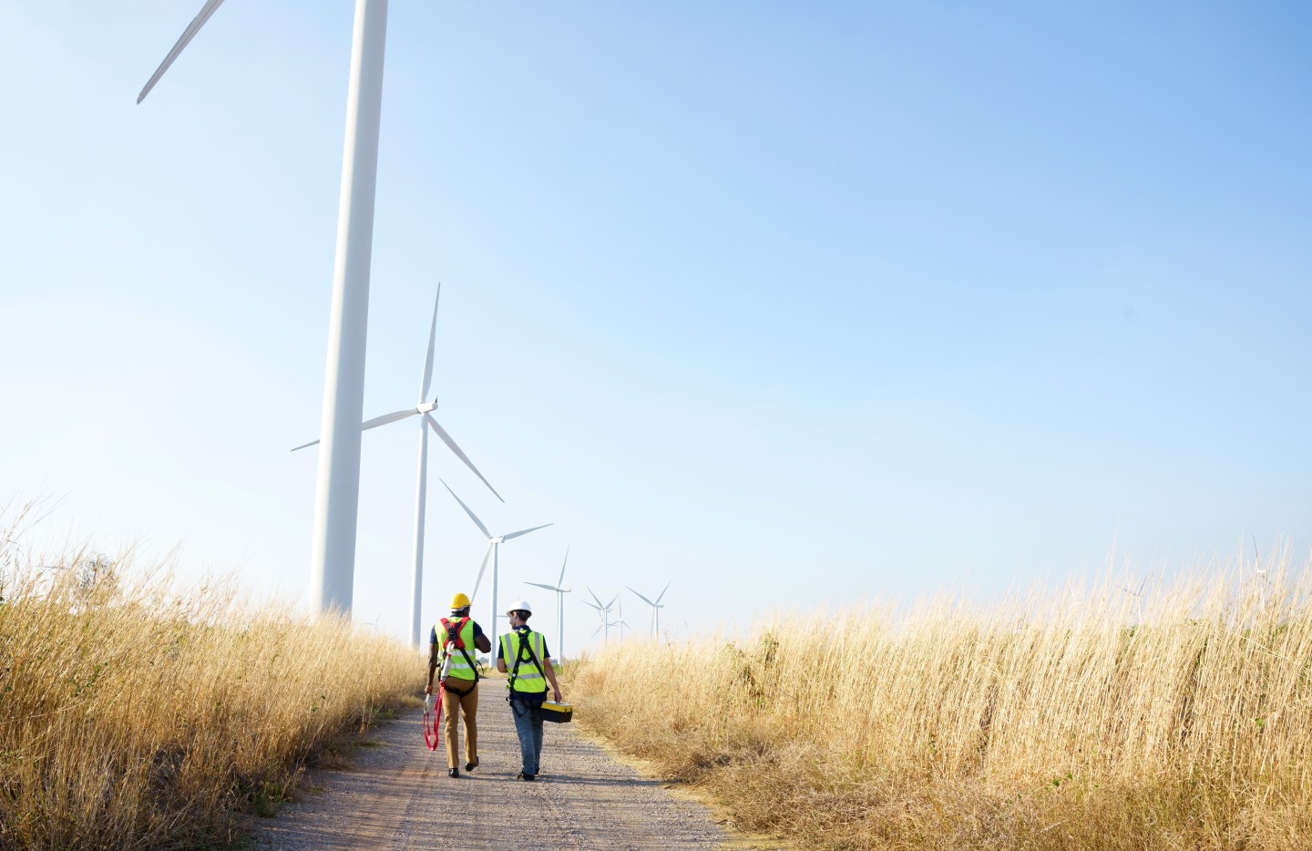 Wide shot of two engineers talking while walking through a wind turbine farm