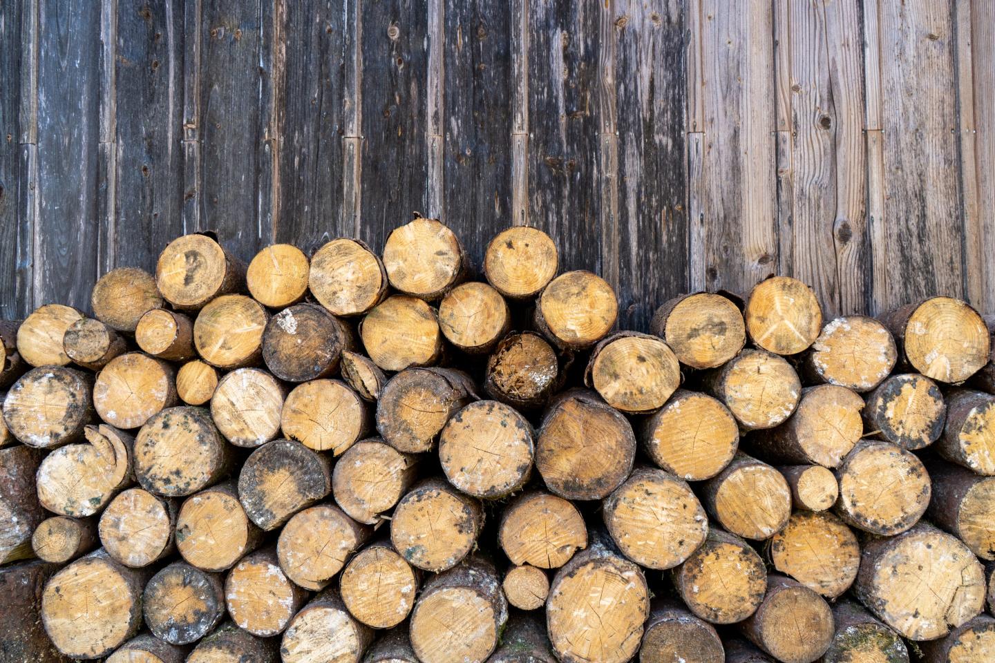 Stacked Firewood