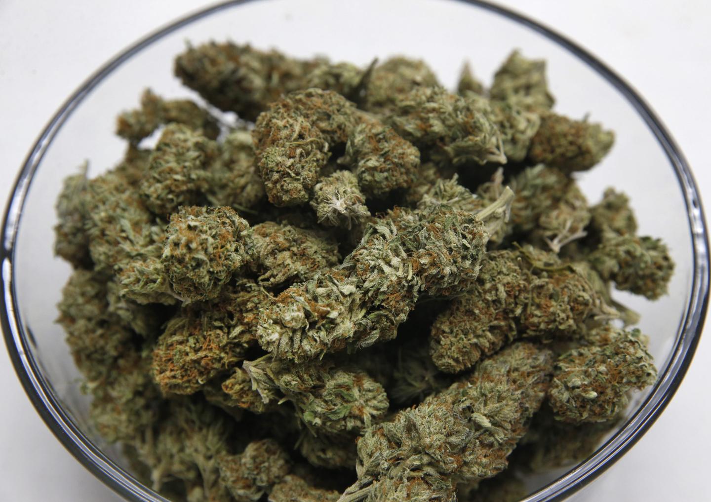 Marijuana