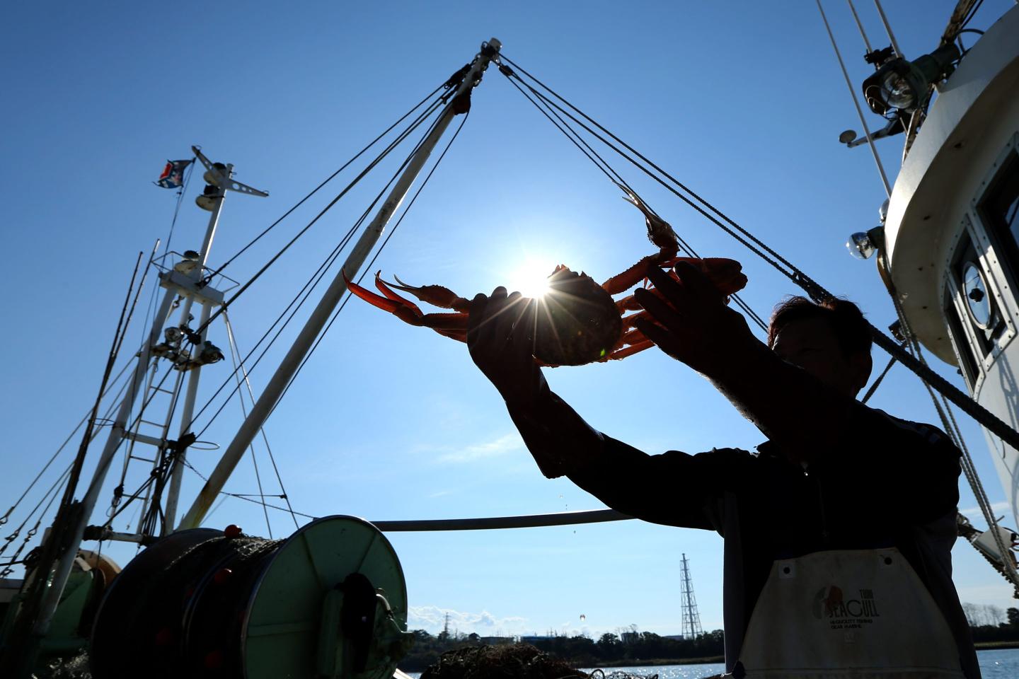 Collapsing crab numbers force Alaska officials to cancel fishing seasons made famous by  ‘Deadliest Catch’ TV series