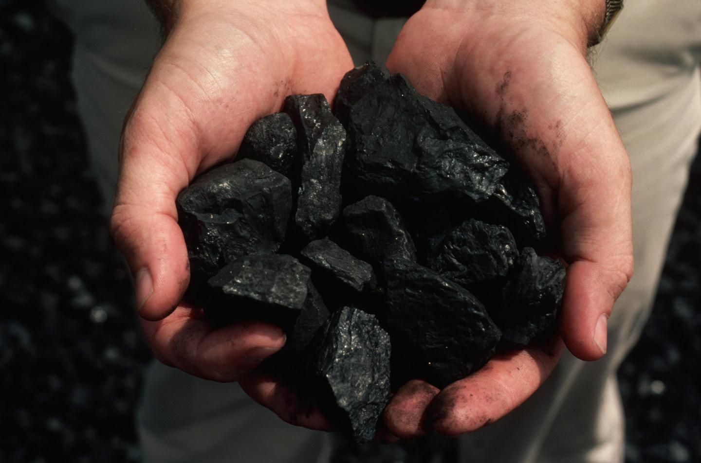 Handful of coal