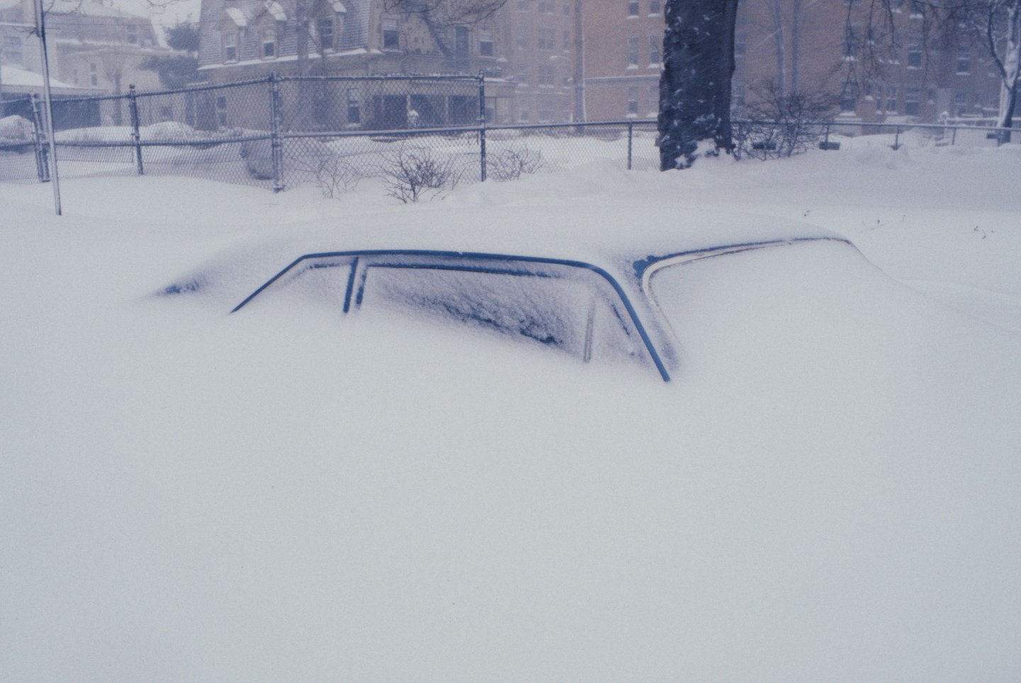 A car buried in snow