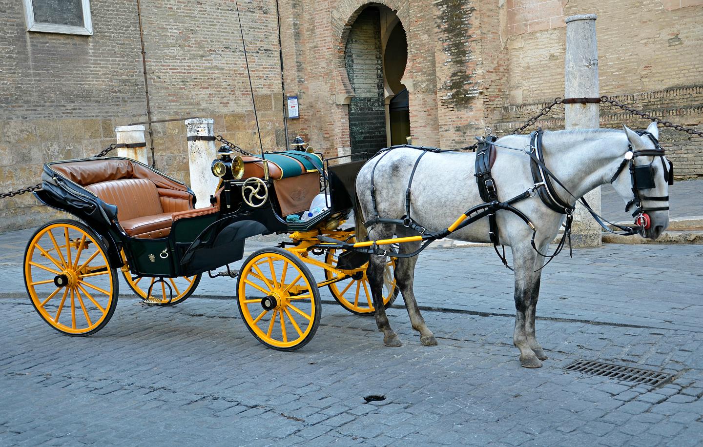 A horse and buggy