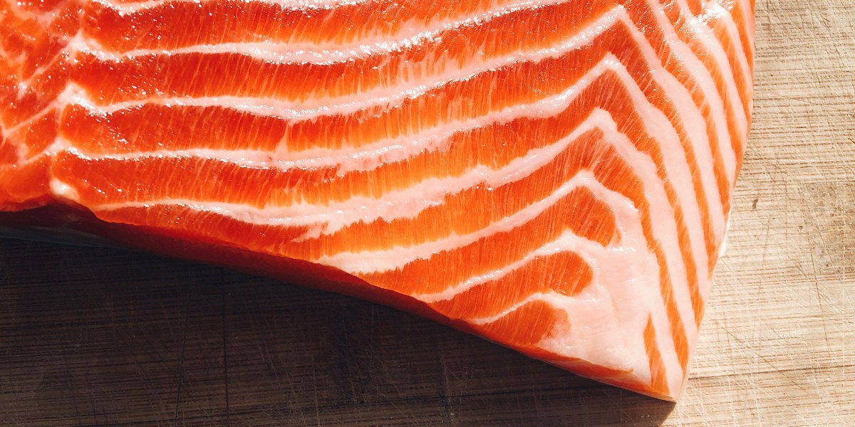 Eating omega-3s may help middle-aged people boost their brain health