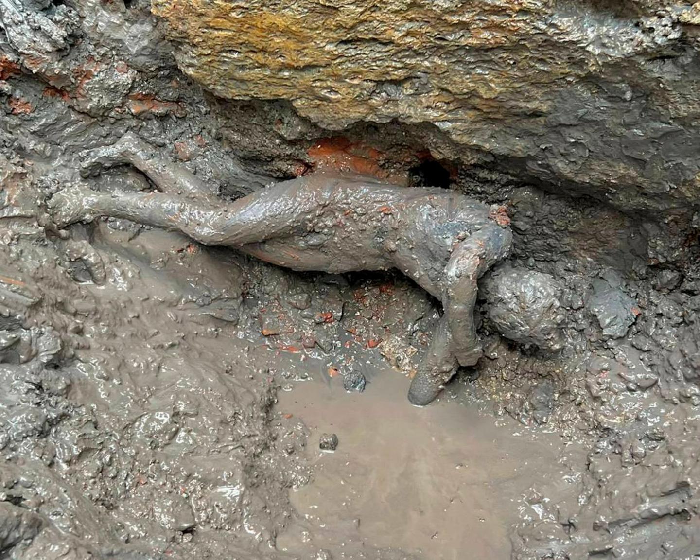A statue laying face down in the mud.