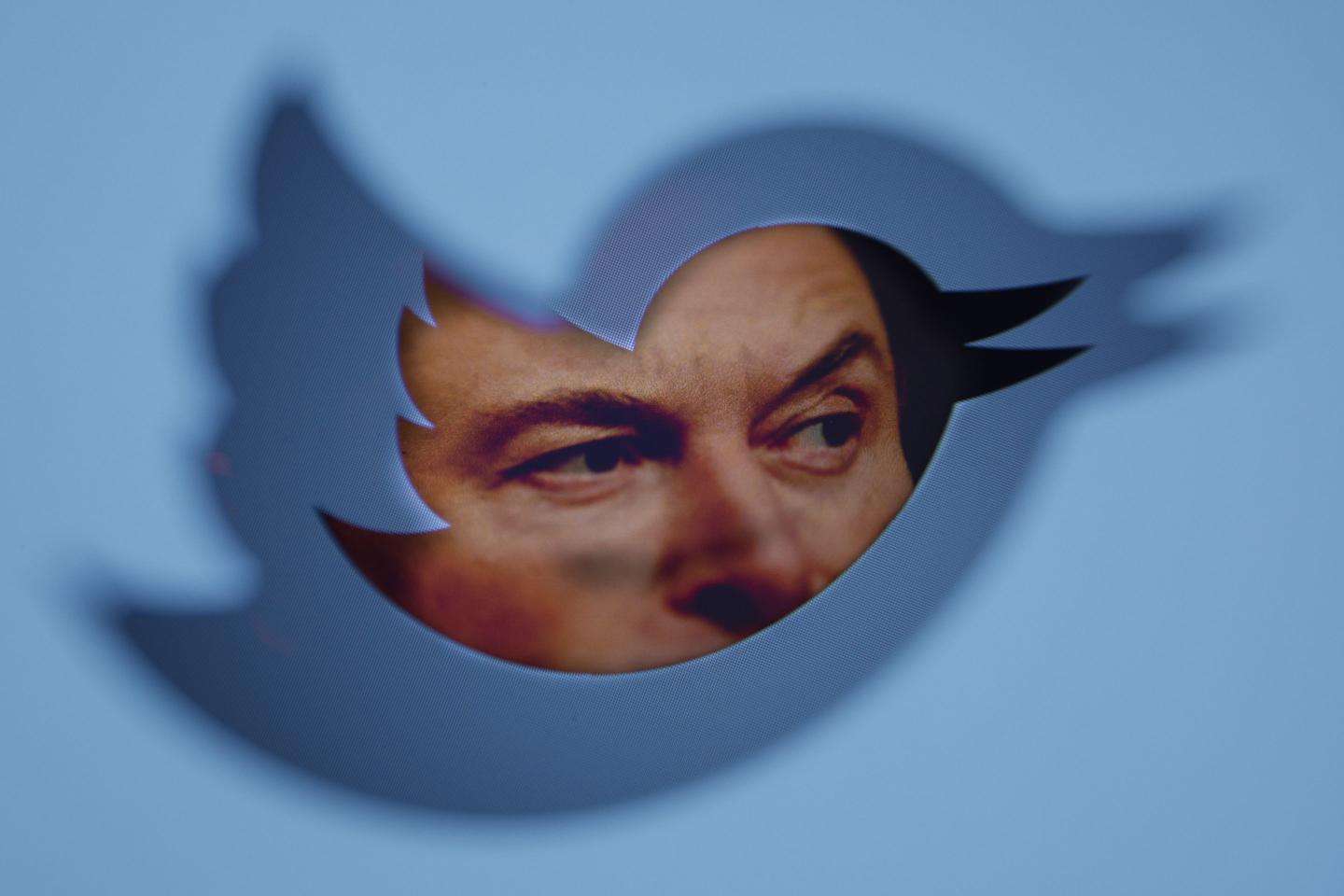 Elon Musk's eyes show through the Twitter logo.